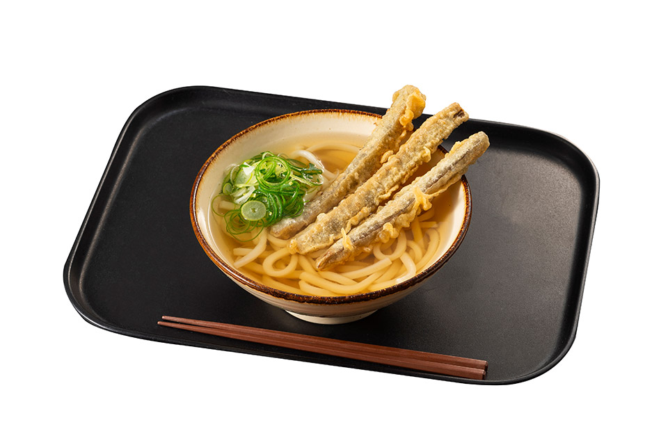 ごぼう天うどん