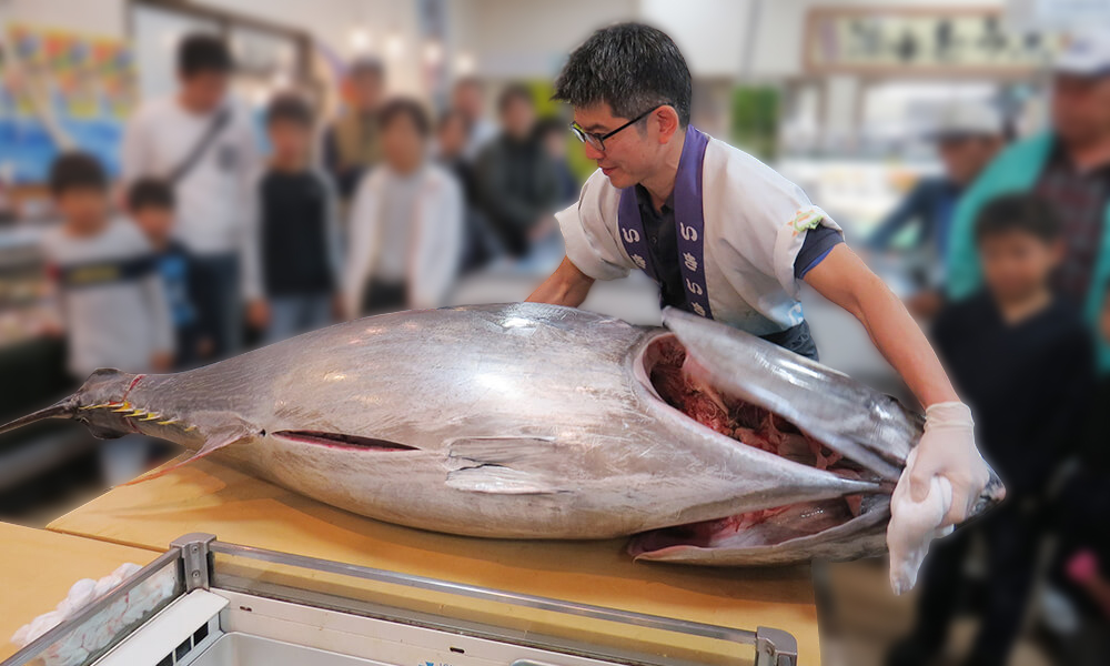 名物！ 本マグロの解体即売イベント